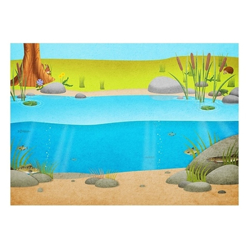 Моя книга наклеек. Природа