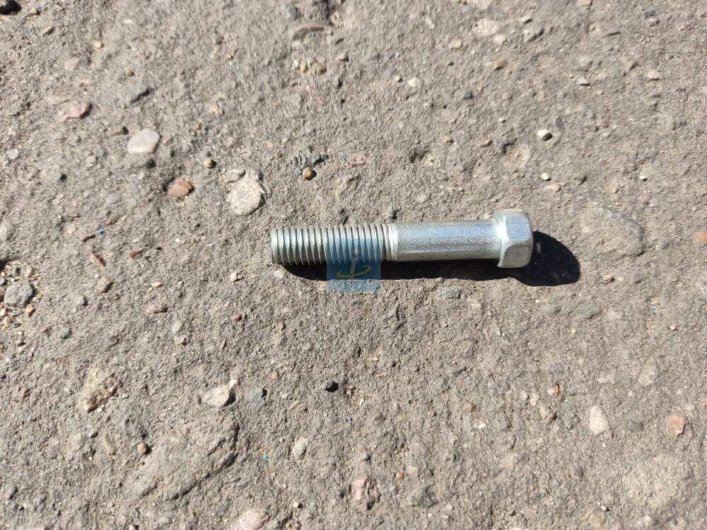 Болт М10х55х1.5 200320-П29