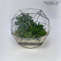 Композиция "Кассиопея"