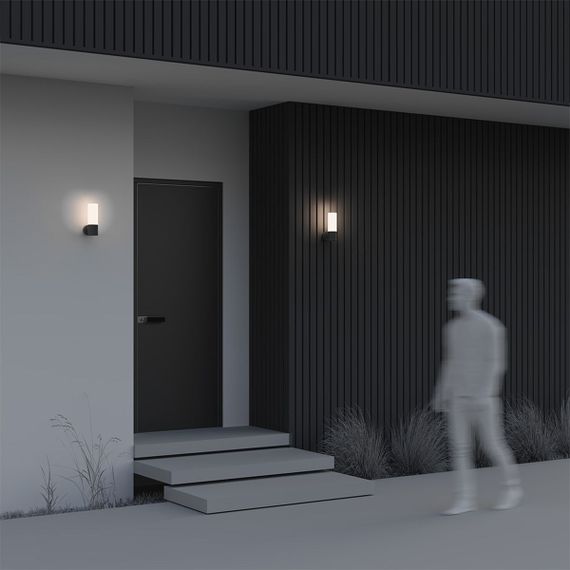 Настенный светильник Maytoni Outdoor O418WL-01B