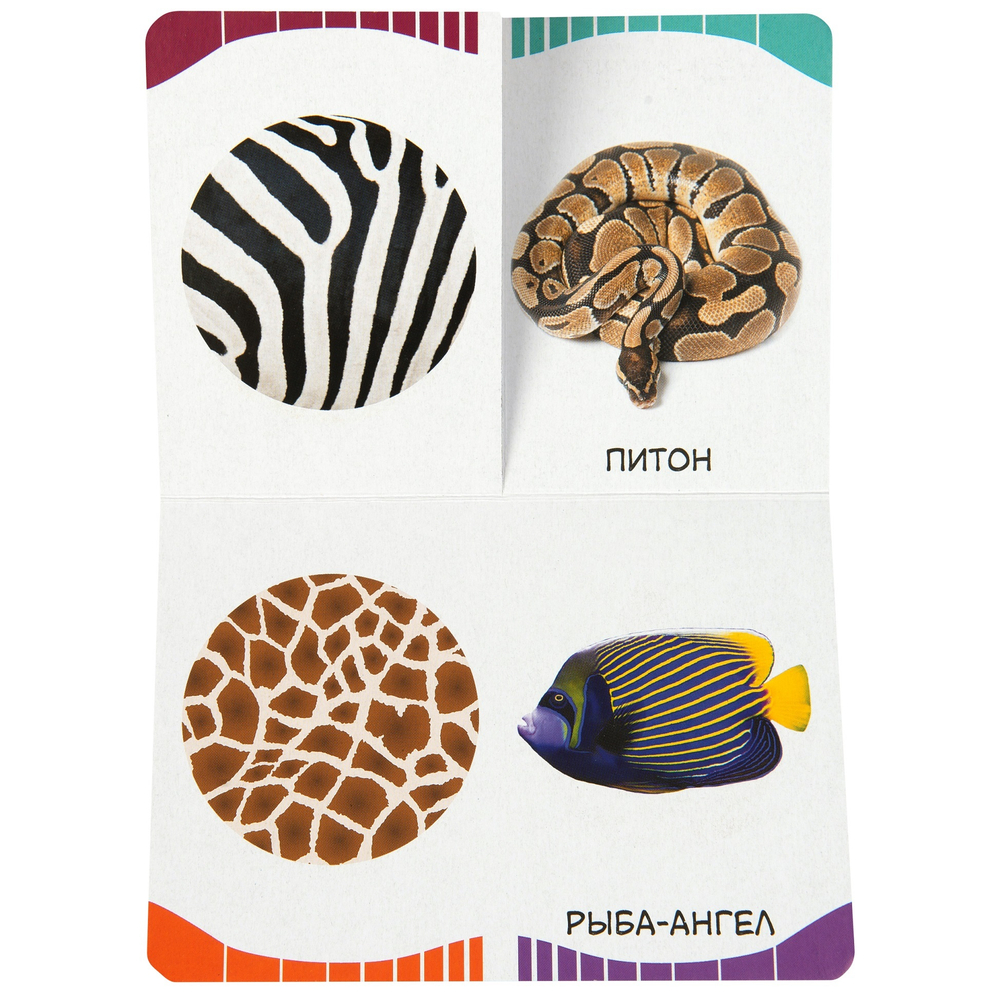 Пятнышки-полоски (Первые слова)/Росмэн/КН.