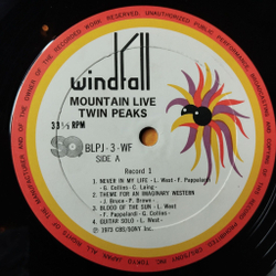 Винтажная виниловая пластинка LP Mountain Twin Peaks (Japan 1973) (No Obi) Never In My Life