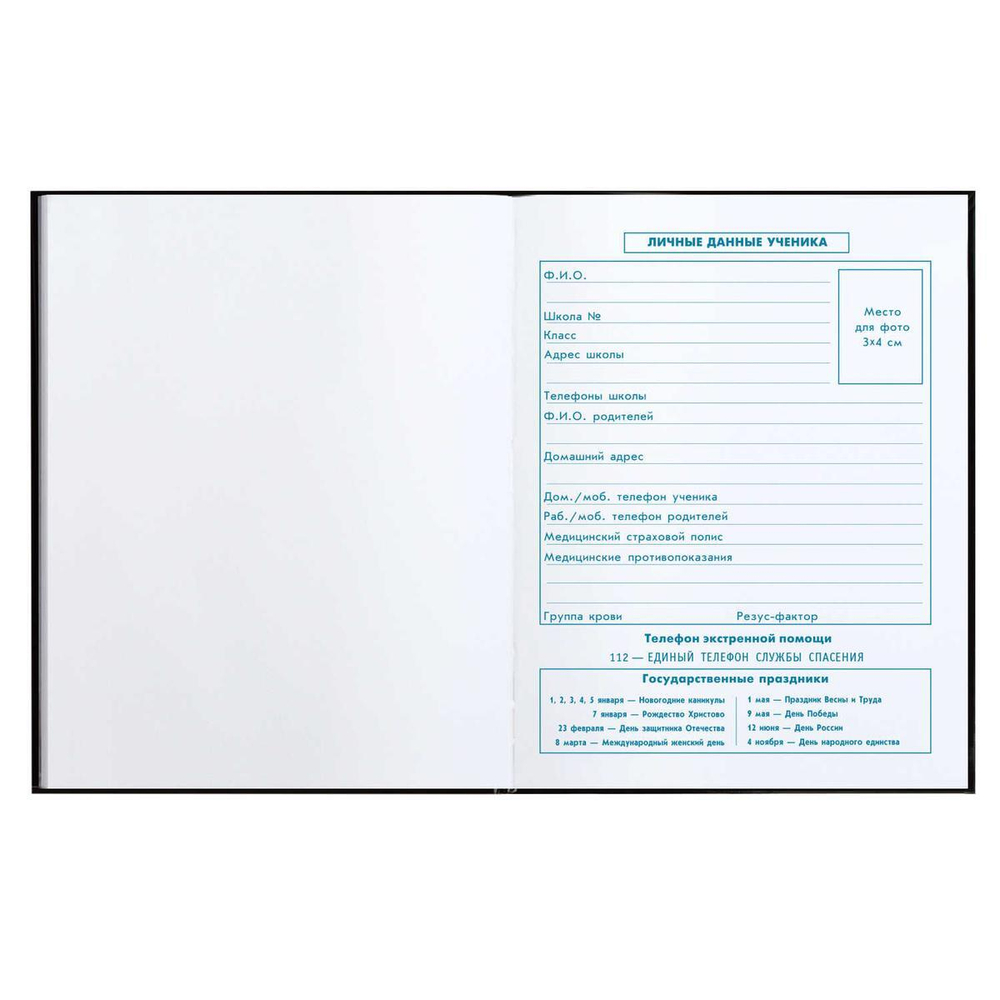 Дневник школьный 48л 1-4 класс "Гонки" (Феникс+)