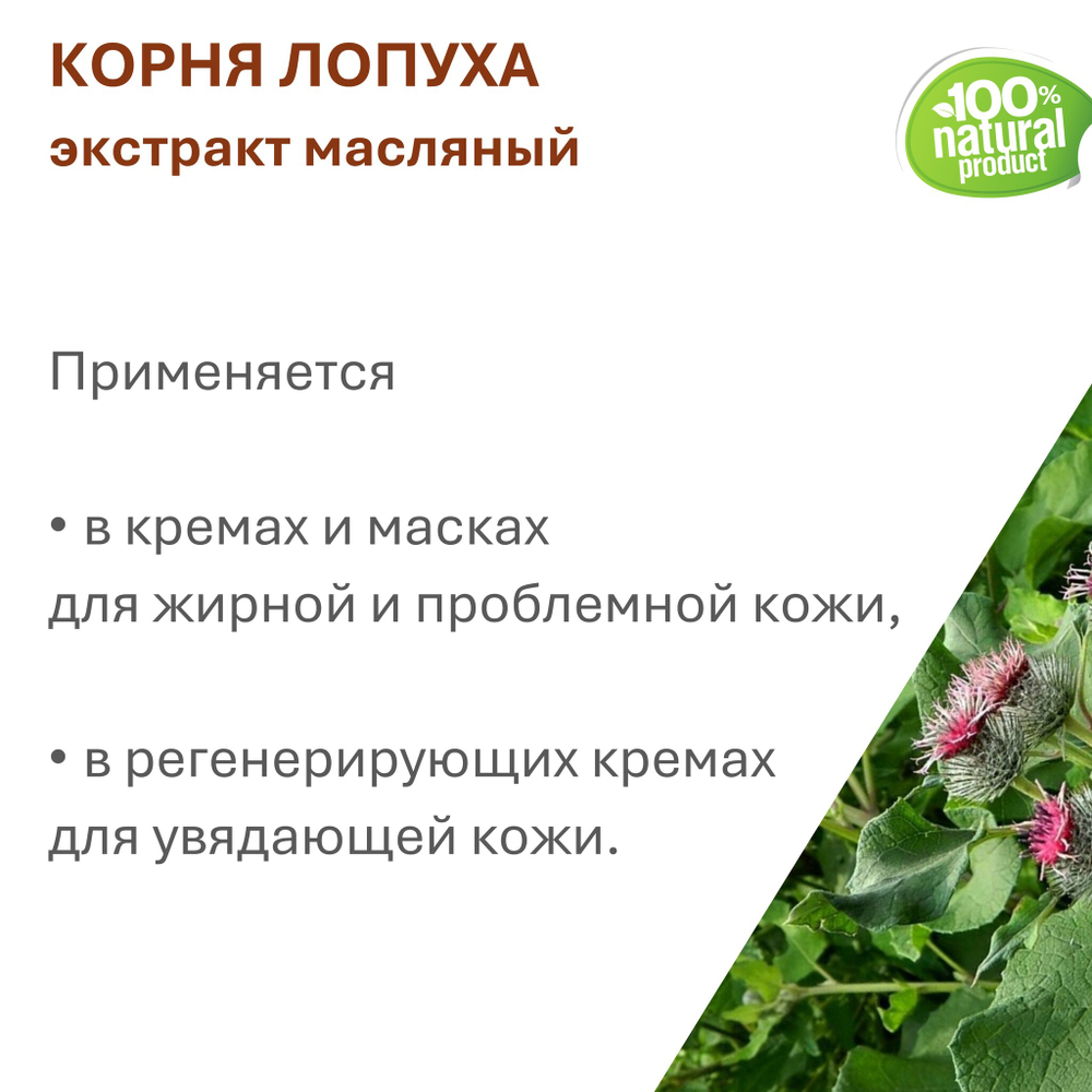 Экстракт корня лопуха, масляный