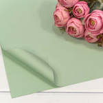 Пленка В листах 20 шт 60 х 60 см "Корейская" (Зеленый)