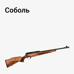 Соболь