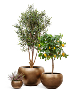 Кашпо TREEZ Effectory - Metal - Полусфера - Тёмное матовое золото