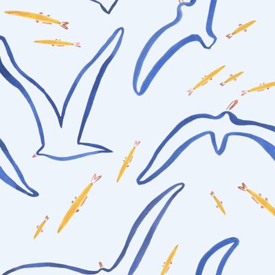 чайки и рыбки