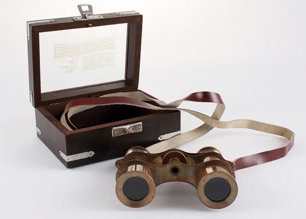 Р‘РёРЅРѕРєР»СЊ РІ РґРµСЂРµРІСЏРЅРЅРѕР№ РєРѕСЂРѕР±РєРµ