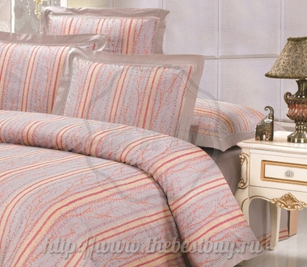 Комплект постельного белья (арт. CL31/016-CLP ) - евро