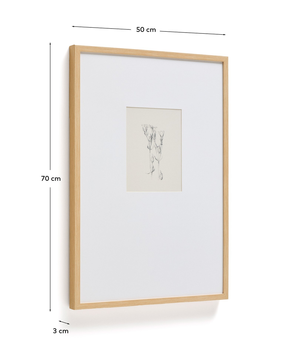 Картина Lirena с ботанической иллюстрацией 70 x 50 см