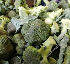 СТИЛ F1 семена капусты брокколи (Seminis | Alexagro)