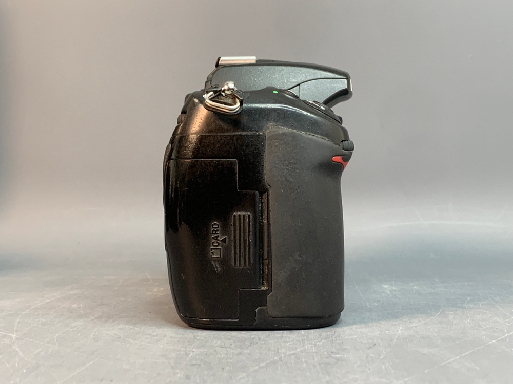 Nikon D300S 185.818 кадров