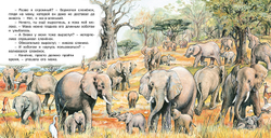 ПМВН. Приключения слоненка, изд.: Фламинго, авт.: Гурина И.В., серия.: Серия "Познаем мир вокруг нас"   Формат: 21х21 см; 16 цв. стр. + обл.