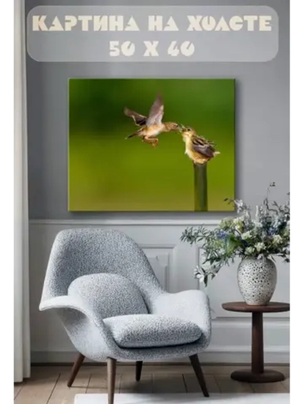 Картина на стену 40 X 50 Птицы