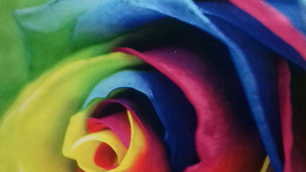 Микровелюр Xpoint (Икспоинт) 0049.01 Роза цветная купон