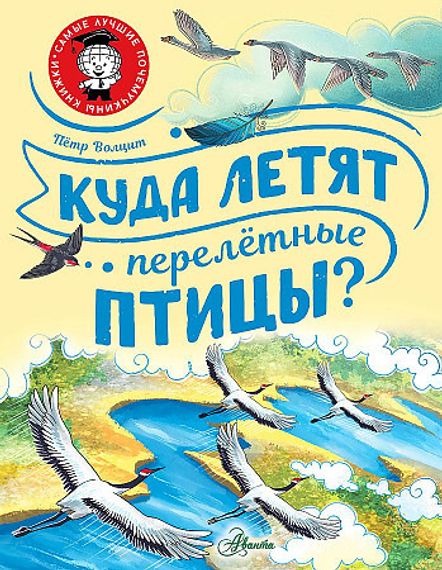 Куда летят перелётные птицы?