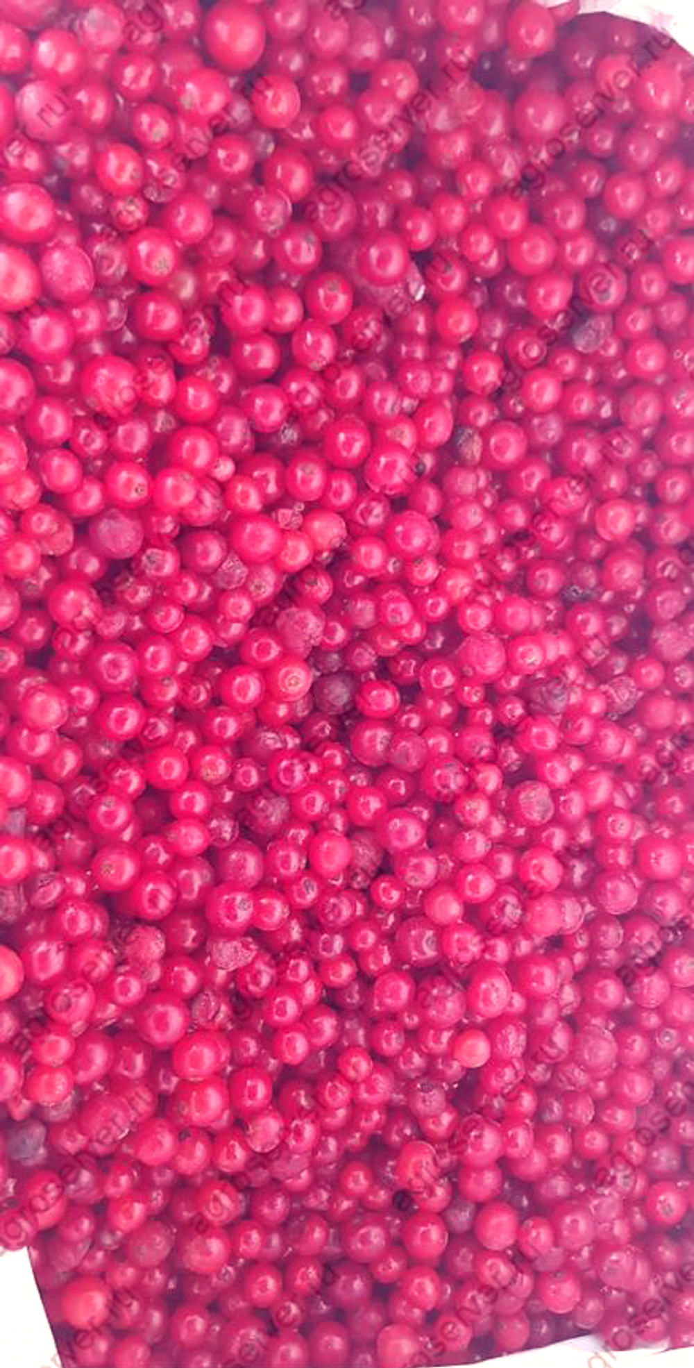 Брусника замороженная (механическая очистка) Россия / Коробка 10 кг