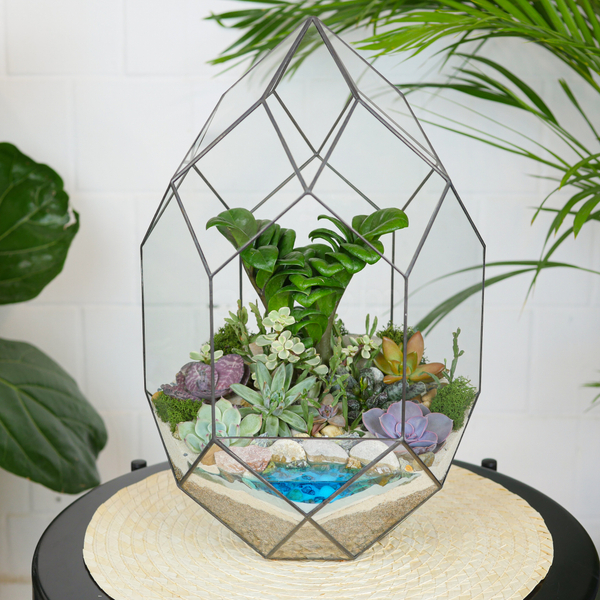 Готовый флорариум с суккулентами Цефей с озером