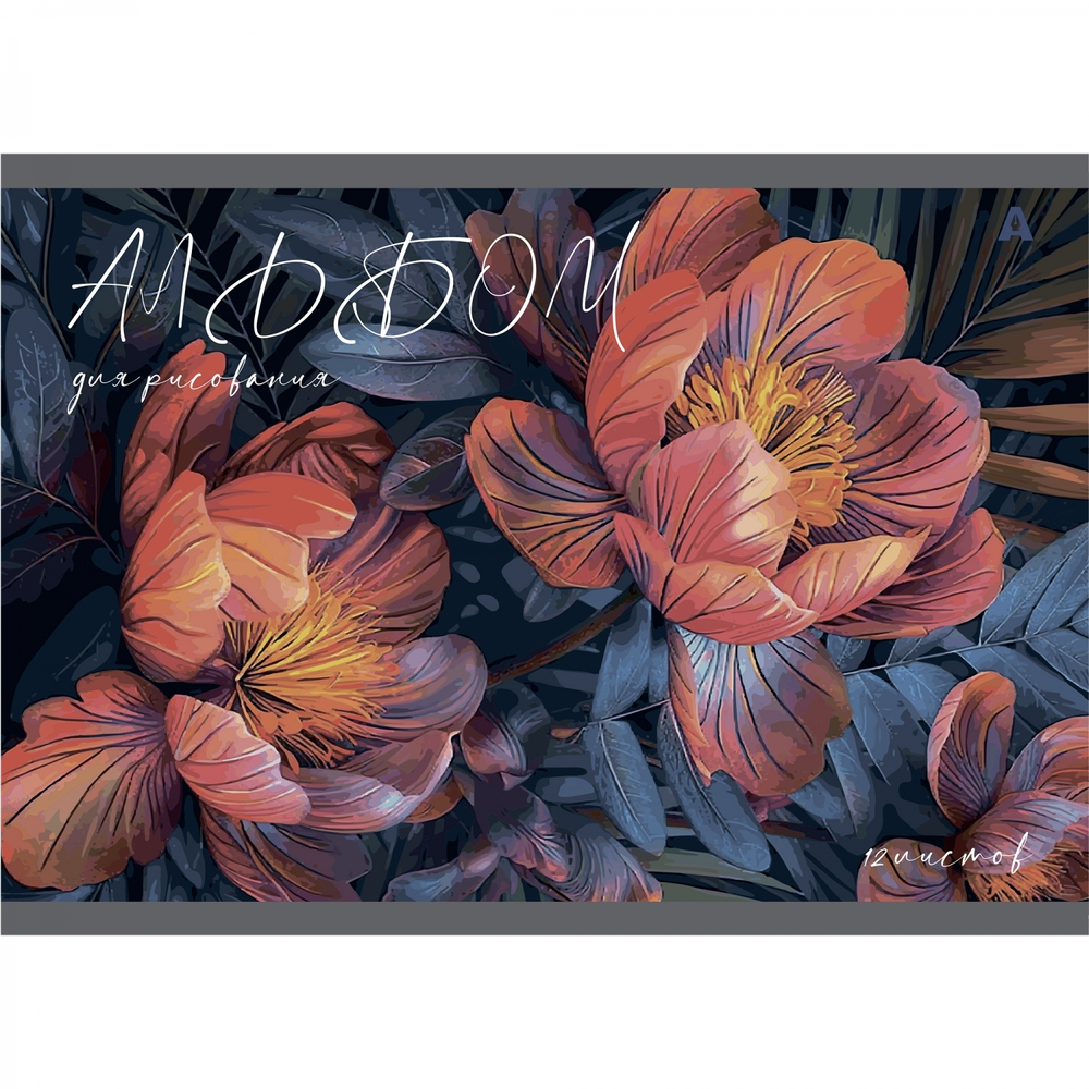 Альбом для рисования 28,5 *19,0 см., 12л., Alingar, на скрепке, мелованный картон (стандарт), 100 г/м2, "Цветы", 4 дизайна в пленке т/у