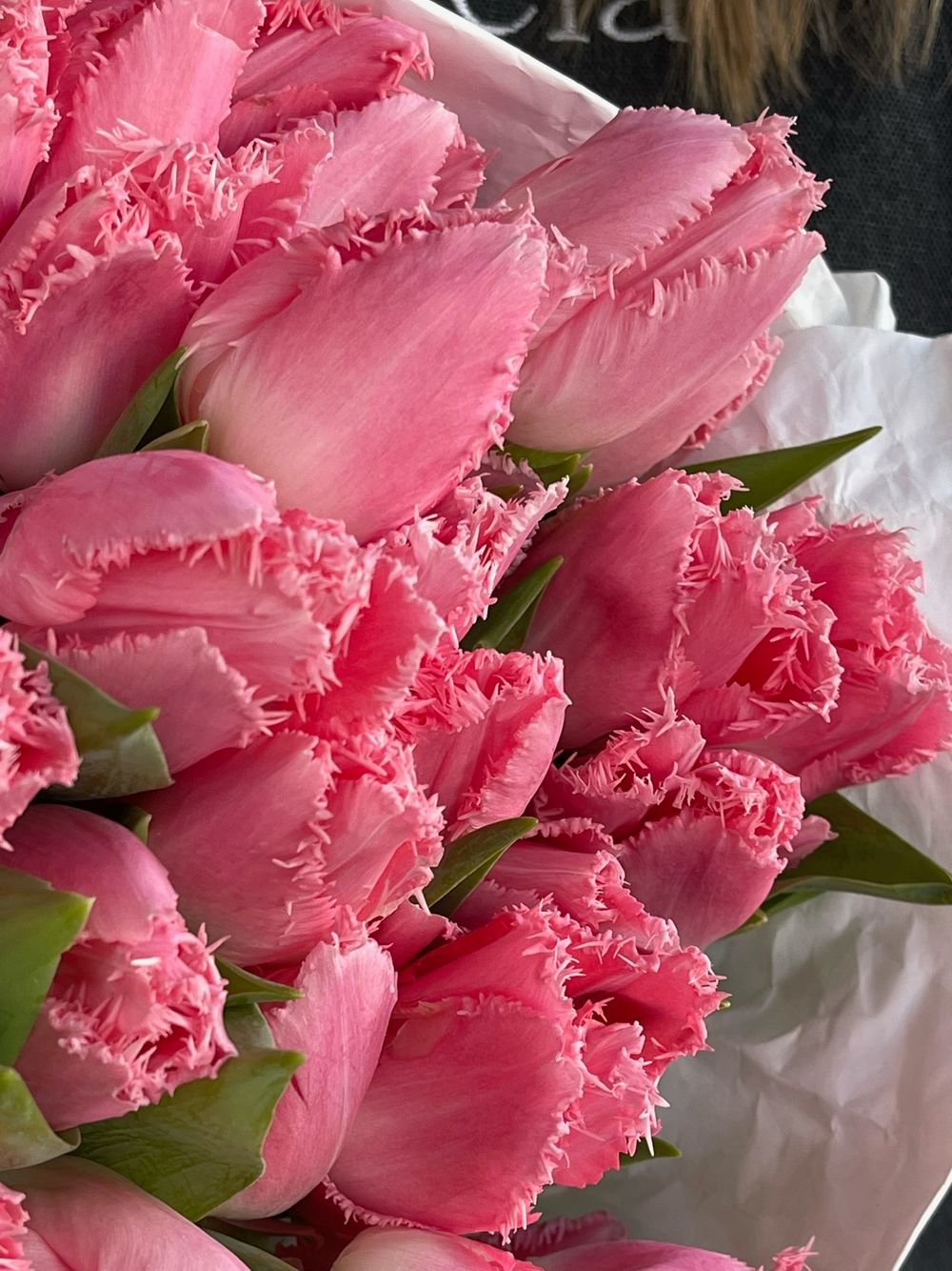 Тюльпаны кружевные - ярко-розовый цвет