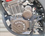 Мотоцикл Regulmoto ZR PR 300 4 valves 6 Gear