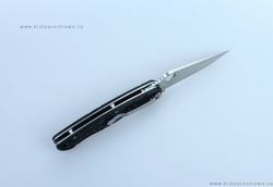 Складной нож Ganzo G7301 Черный