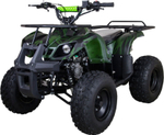Квадроцикл Avantis Classic 8