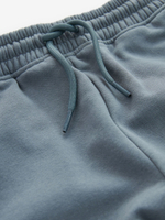 Джоггеры карго для мальчика Next N31-774, Голубой