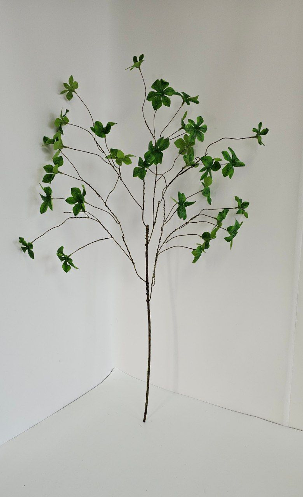 Шеффлера Компакта / Арт 1079