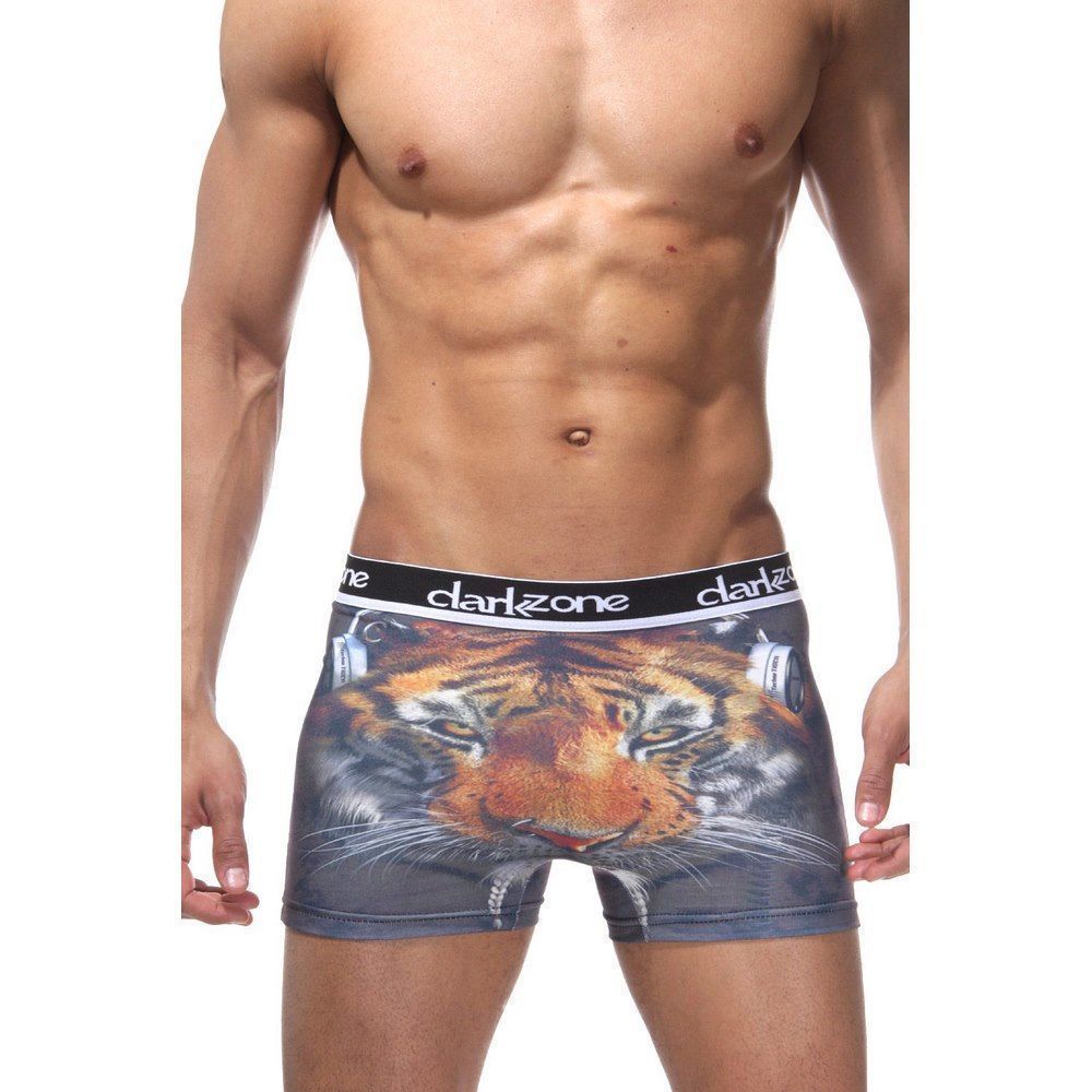 Трусы мужские боксеры с 3D принтом DARKZONE DZN1097