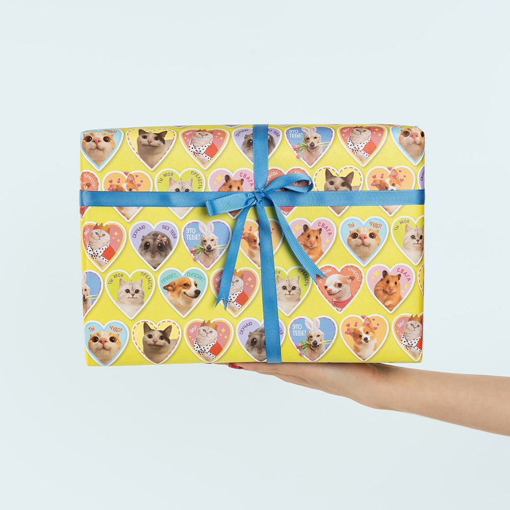 Упаковочная бумага «Милые мемы» 0,7×1 м, 80 г/м²