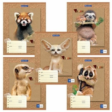 Тетрадь 18л, линия, Brauberg Милые зверушки, в ассортименте