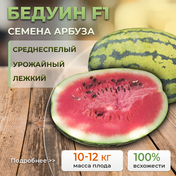 БЕДУИН F1 семена арбуза Bejo  Alexagro культура – фото 1