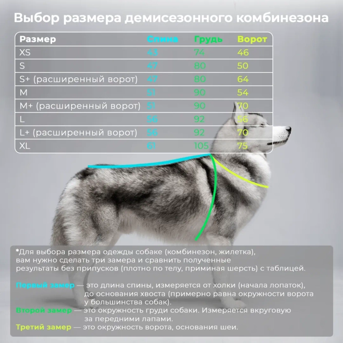 Выкройки одежды для собак и пошаговая инструкция шитья с фото - gkhyarovoe.ru