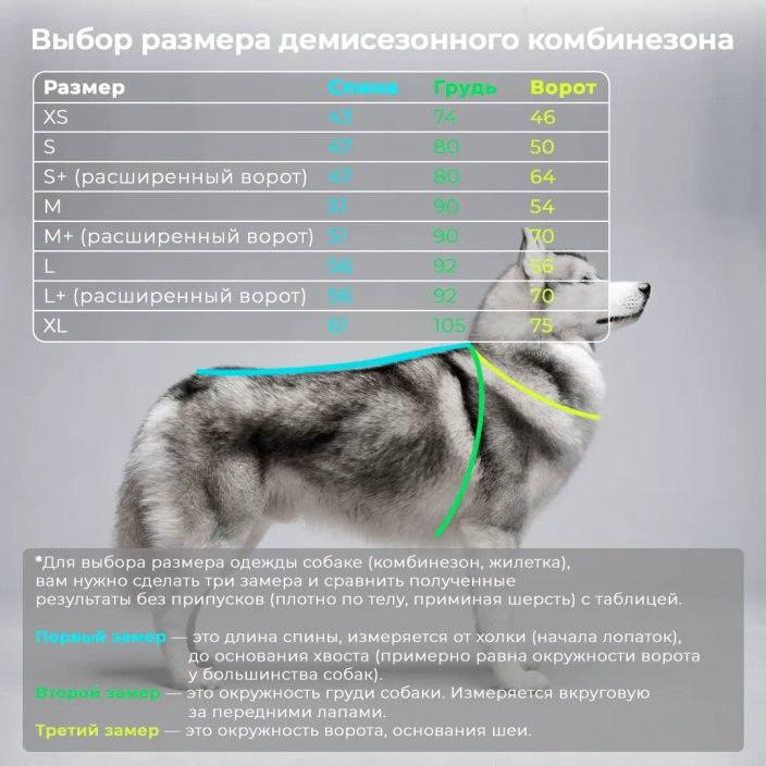 Сшить собаке комбинезон (71 фото)