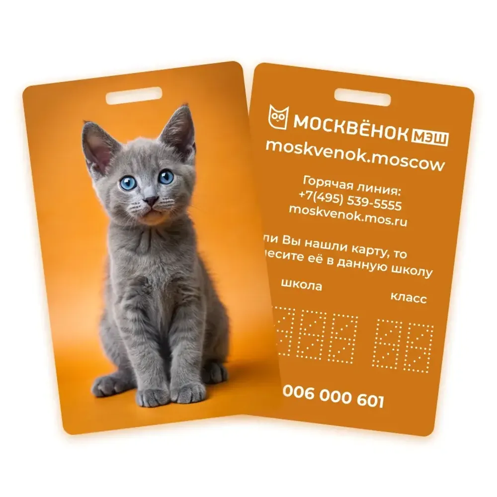 Карта Москвёнок CATS №11 (проход + питание)