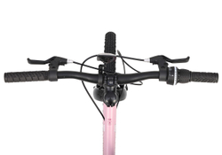 Maxiscoo 3BIKE 20'' L (2025)
