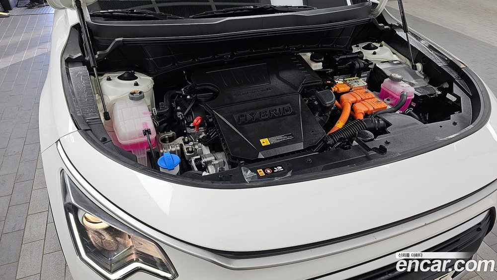 Kia The All New Niro Trendy (05.2023)