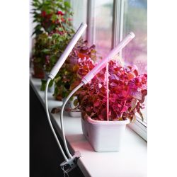 Светильник для растений на прищепке ЭРА FITO-20W-АLED красно-синего спектра 12 Вт