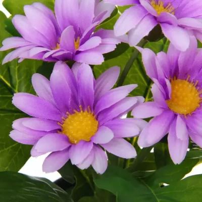 Цветочная композиция «Поцелуй лета» Хризантема сиреневая 20см