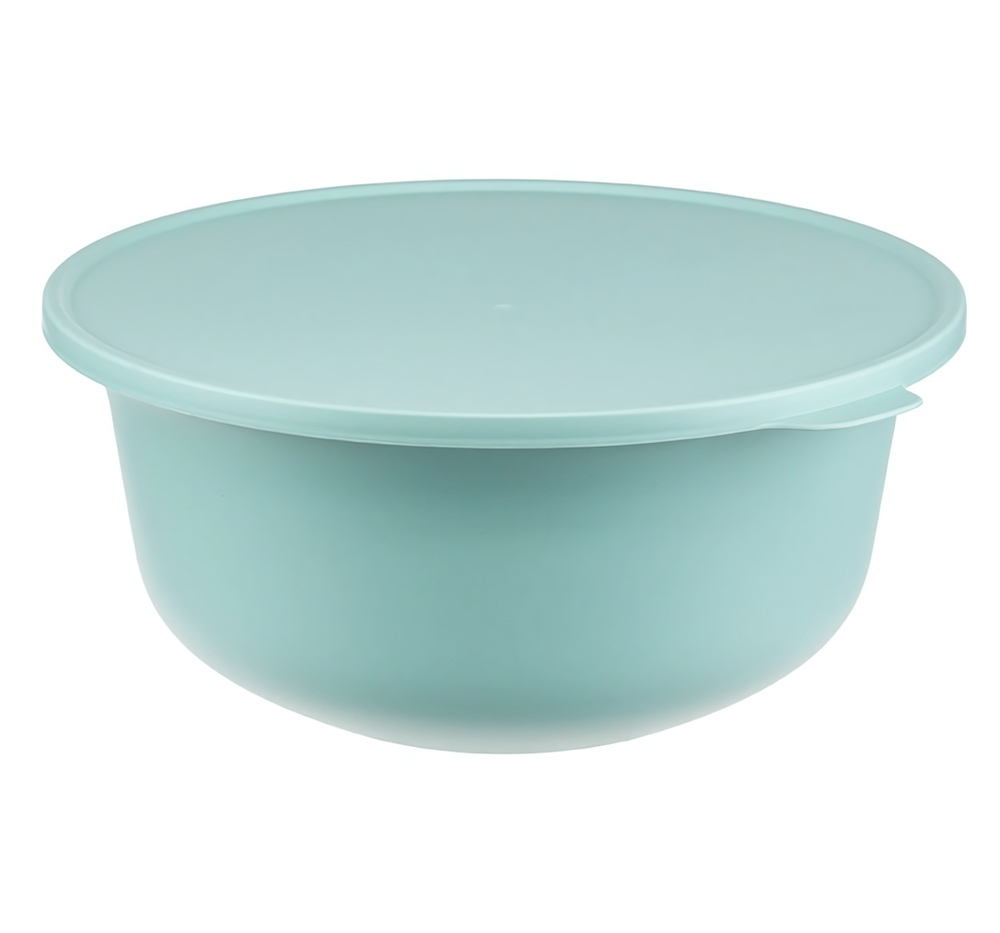 Миска ТЭСТИ 4,3л с крышкой