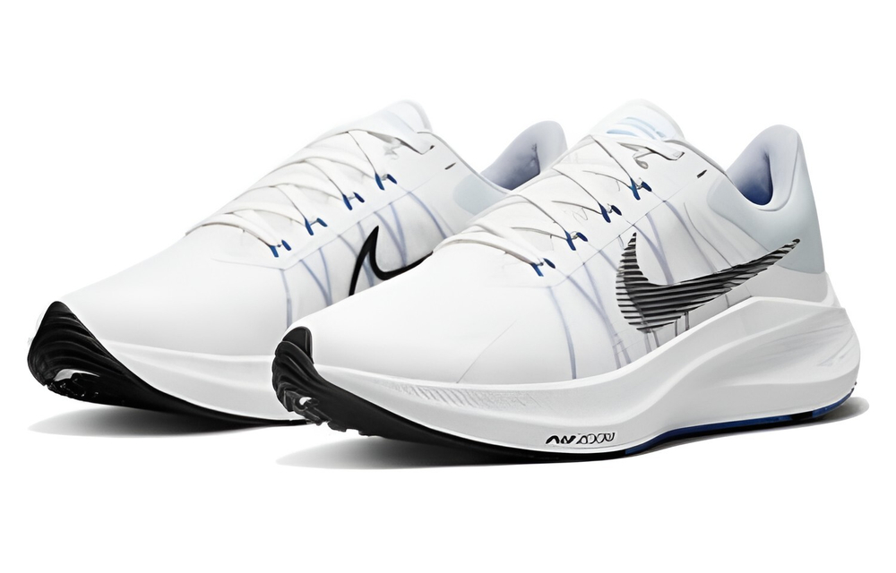 Кроссовки Nike Air Zoom Type Se 3M