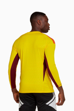 Вратарская кофта adidas Tiro 23 Competition GK