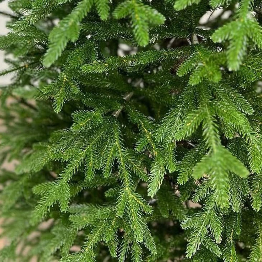 Ель искусственная «Аннабель» (Литая хвоя) 3 м