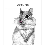 НОВИНКА! Тетрадь общая 48 листов на скрепке "Приколы"