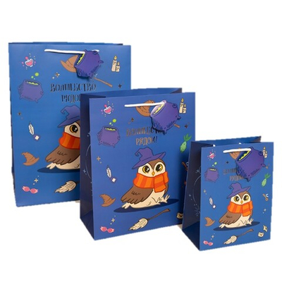 Подарочный пакет «Волшебная школа», в трех размерах