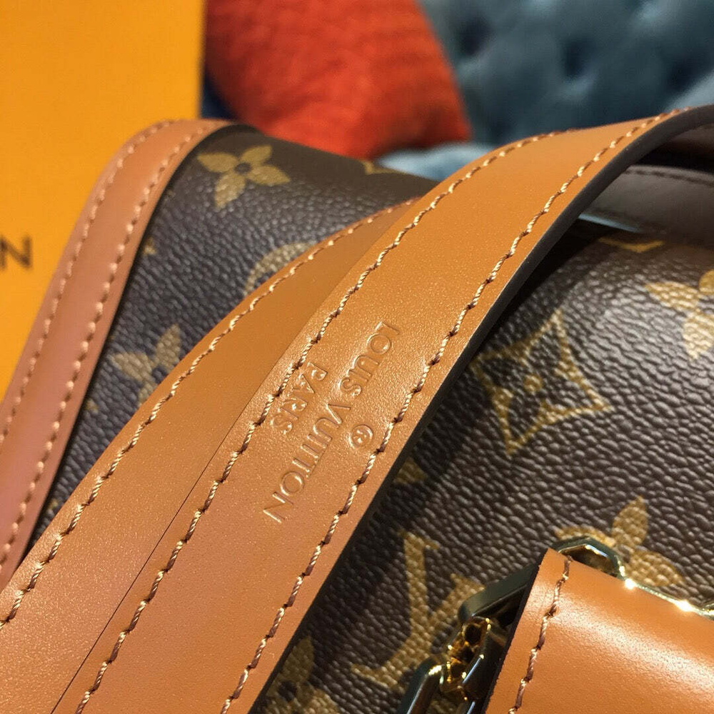 Louis Vuitton Dauphine MM