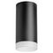 Комплект с потолочным светильником Lightstar Rullo (216487+202480) R648780