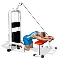 Универсальные силовые тренажеры